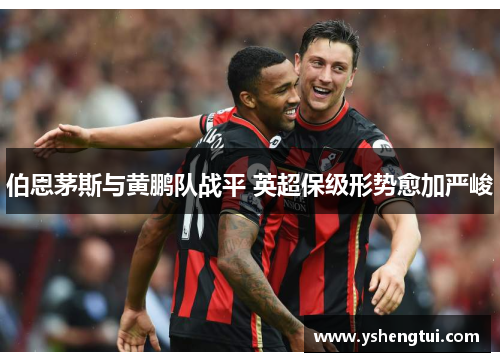 伯恩茅斯与黄鹏队战平 英超保级形势愈加严峻
