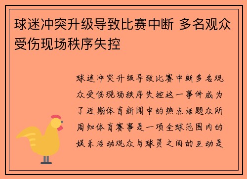 球迷冲突升级导致比赛中断 多名观众受伤现场秩序失控